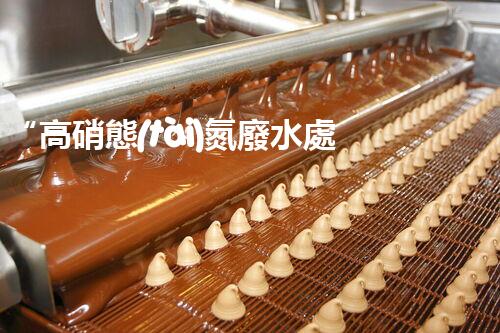 “高硝態(tài)氮廢水處理，綠色環(huán)保新篇章”